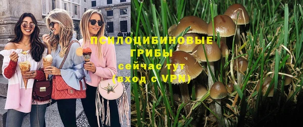 MESCALINE Алзамай