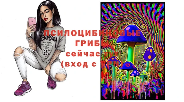 ГАЛЛЮЦИНОГЕННЫЕ ГРИБЫ Алексин