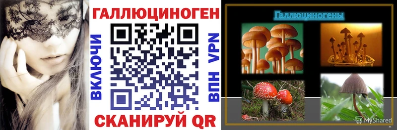 Галлюциногенные грибы Magic Shrooms  Купить  Сысерть 