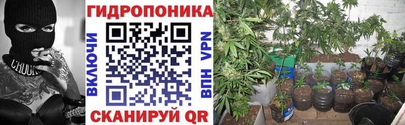 Купить закладки  Сысерть  Бошки Шишки сатива 